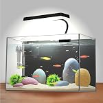 3 Gallon 12.6” L Fish Nano Glass Aquarium, with Separator Plate for Betta, Multi-Functional Square Fish Tank with Filter, LED Light, Black 4mm Glass