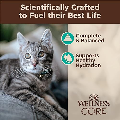 Miniatura 4 de Wellness CORE Tiny Tasters - Alimento húmedo para gatos adultos, natural, rico en proteínas, sin granos, bolsa de 1.75 onzas, paquete de 12, atún y