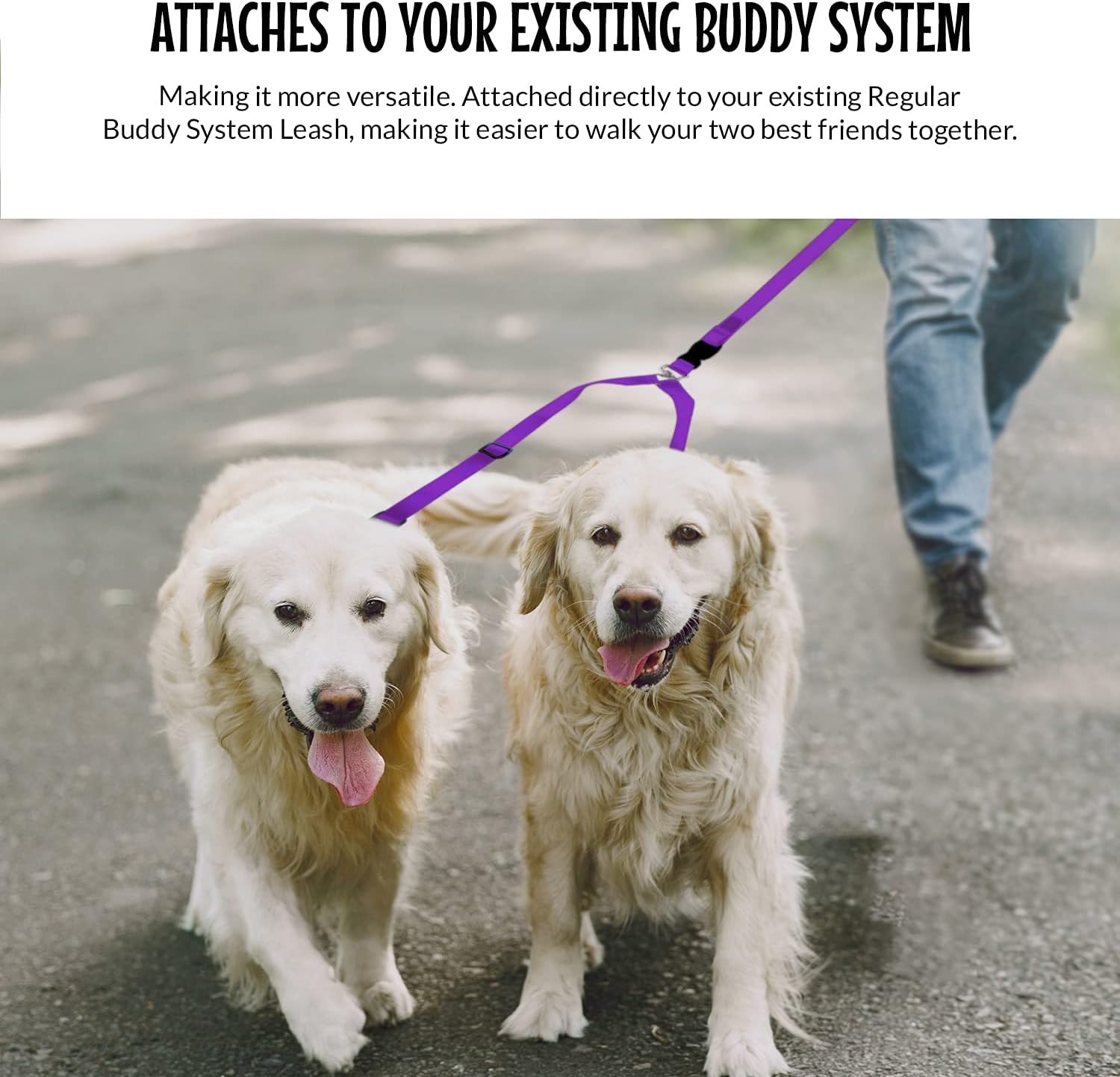 The Buddy System Hands Free Dog Leash Extra Buddy (Regular Dog, Red) and Double Buddy (Regular Dog, Purple) for Running, Jogging, Walking, Hiking and Training Service Dogs