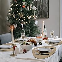 Vista 23 de Faux Leather Placemats and Coasters Set of 2, Round Leather for Dinner Table Mats Heat Resistant Non-Slip Washable Insulation Coffee Mats Kitchen