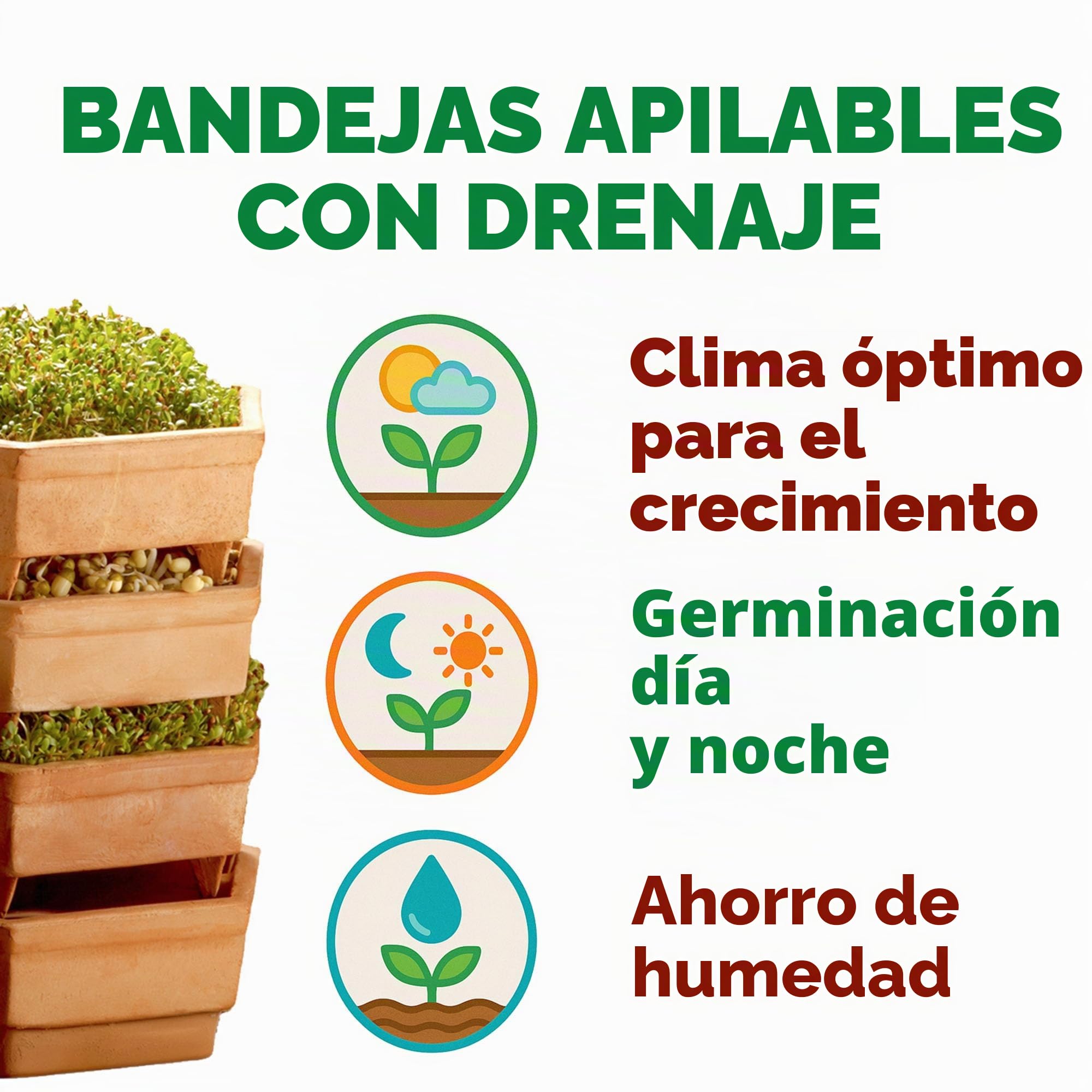 GEO - Germinador en barro, muy espaciosa para tener muchos brotes distintos