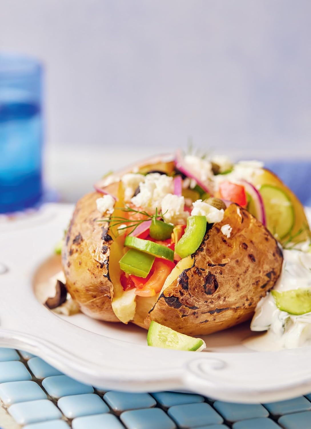 Best Cookbook - Spud Man's Spudtacular Baked Potato Cookbook Review