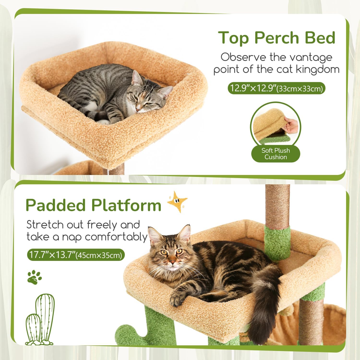 A cat resting on the top perch bed and another on a padded platform