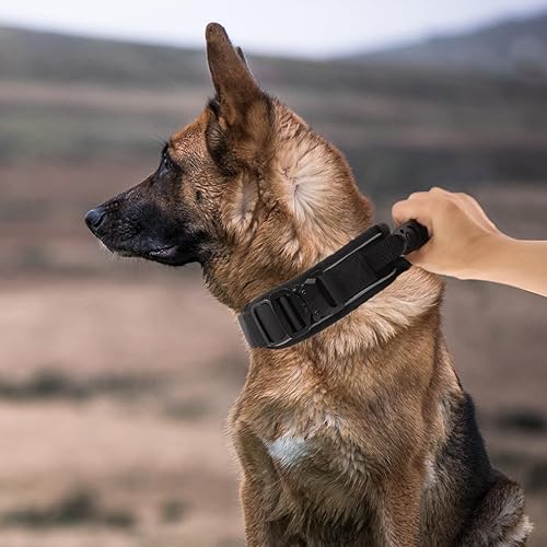 Miniatura 4 de Comfluxe Collar de perro resistente, collar táctico para perro con asa, collar grueso para perros medianos y grandes, hembras y machos, 2.5 pulgadas