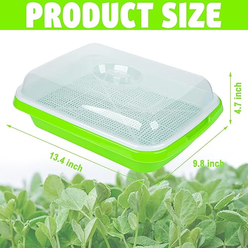 Miniatura 2 de Paquete de 4 bandejas para germinar semillas con tapa, bandeja de germinación de semillas sin tierra, cultivador de hierba de trigo de gran