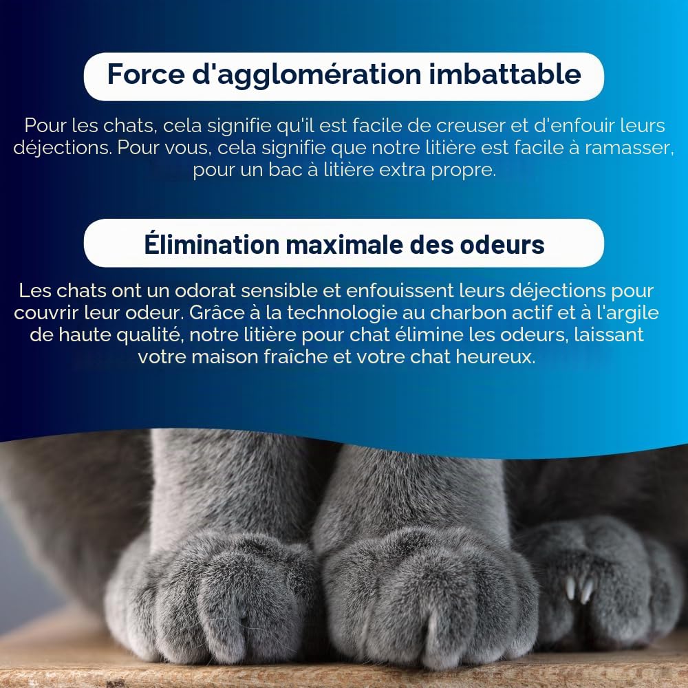 Ever Clean Litière pour Chat, Extra Fort agglomérant, parfumée, 20L