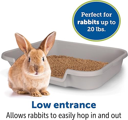 Miniatura 3 de NE14pets Caja de arena para conejo con diseño de conejo Go Here de NE14pets color gris brumoso fabricado en Estados Unidos. Consulta el dibujo de
