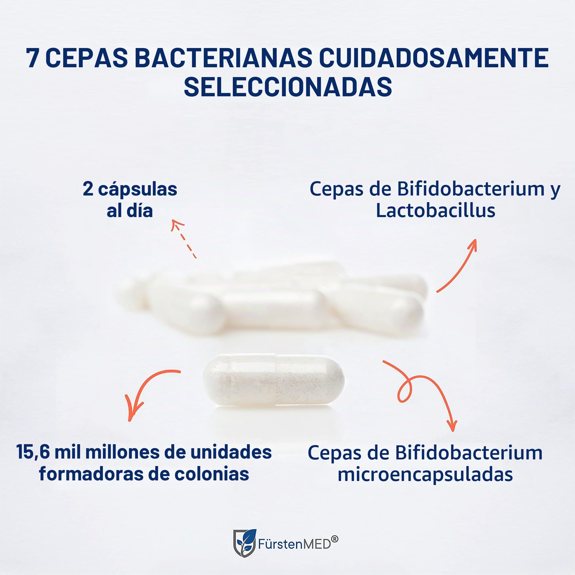 FürstenMED® Bifidoflor HIT - Lactobacillus y Bifidobacterium Cápsulas - 60 Cápsulas gastrorresistentes con inulina como caldo de cultivo - Probado en laboratorio, vegano y sin aditivos