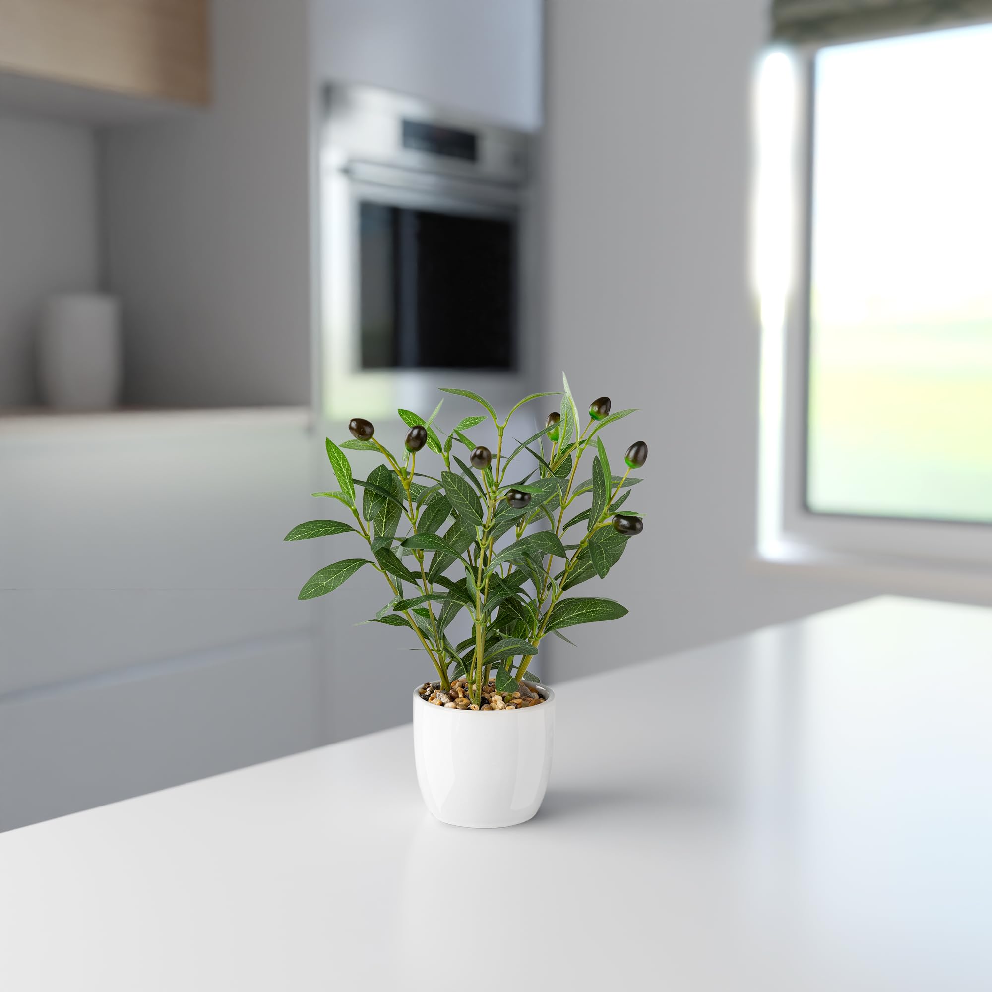 Amazon.de: PASCH Knstlicher Olivenbaum (34cm) in weiem Keramiktopf:  Kunstpflanzen wie echt | Knstliche Pflanzen im Topf | Fake Plant: Olive  Tree | Olivenbaum knstlich klein | Kunstblumen im Topf