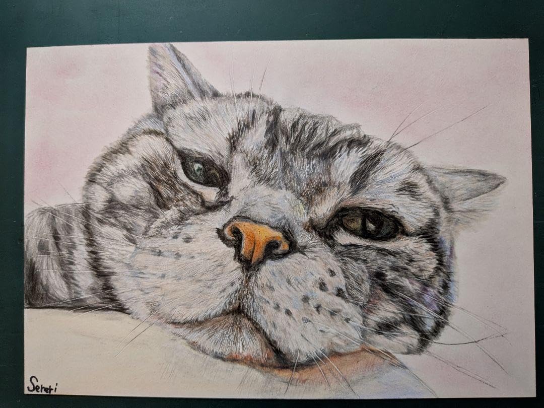 専用　色鉛筆画　絵画　原画　猫の絵　猫　似顔絵　オーダーページです 色鉛筆画 猫の絵 No.79 専用 色鉛筆画 絵画 原画 オーダーページです
