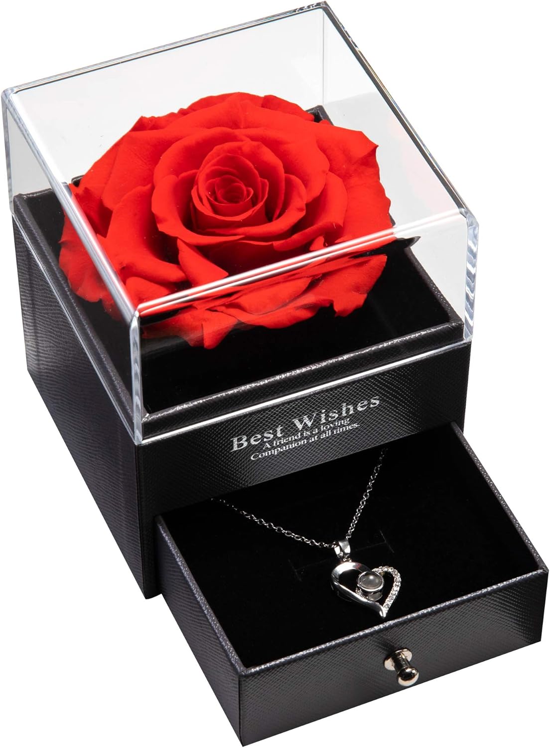 Amazon Com Beauty And The Beast 保存真紅玫瑰盒i Love You 項鍊100 種語言魔法真玫瑰情人節週年紀念婚禮浪漫禮物送給她 紅玫瑰 居家與廚房 Amazon Com Beauty And The Beast 保存真紅玫瑰盒i Love You 項鍊100 種語言魔法真玫瑰情人節週年紀念婚禮浪漫禮物送給她 紅玫瑰 居家與廚房