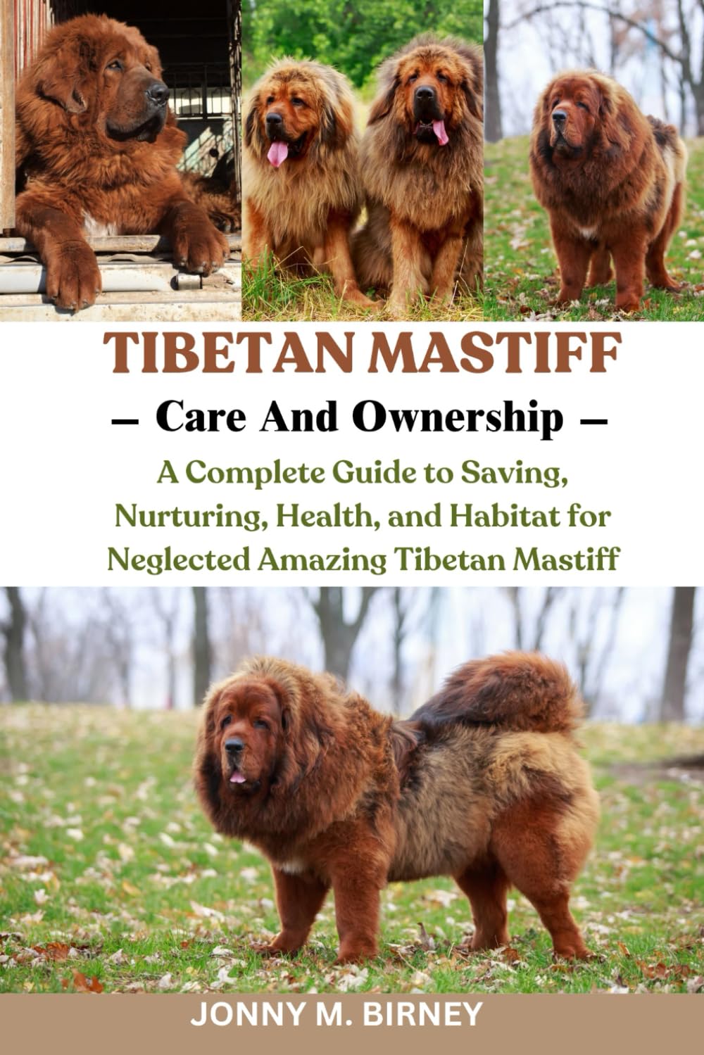 TIBETAN MASTIFF: A Complete Guide to Saving, Nurturing, Health, and Habitat for Neglected Amazing Tibetan Mastiff