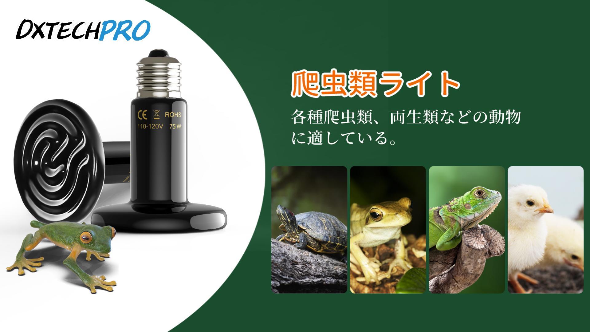 爬虫類飼育ケージ ライト・ヒーター付き 最終値下げ 楽天市場】【周囲