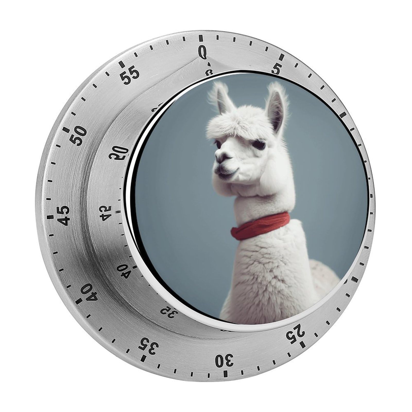Alpaca Visual Timer with Loud Alarm 60-Minute Kitchen Timers Exquisite Stainless Steel Body - Mechanical Desk Timer Countdown Clock for Cooking Chef Clock