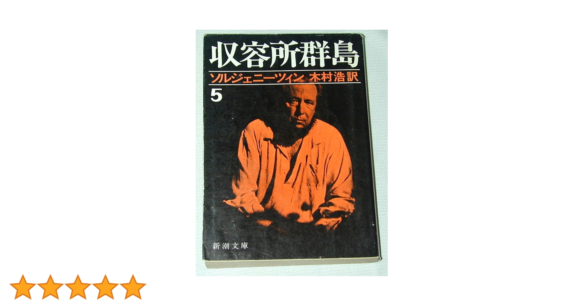 Amazon.co.jp: 収容所群島 5: 1918-1956文学的考察 (新潮文庫 ソ