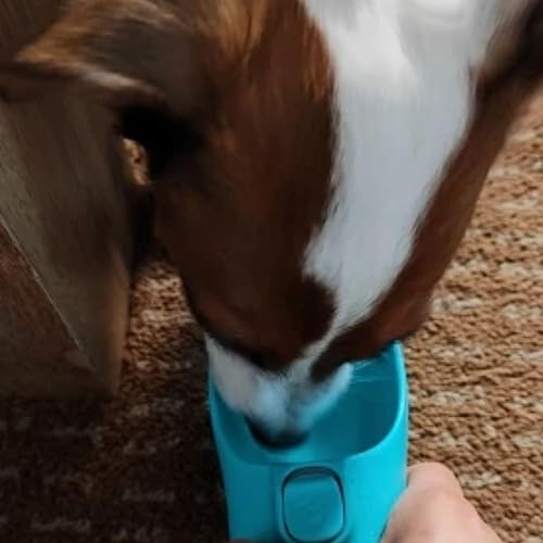 Miniatura 5 de Botella de agua portátil para perros  Dispensador de agua para perros a prueba de fugas para viajes al aire libre (blanco, 19 onzas)