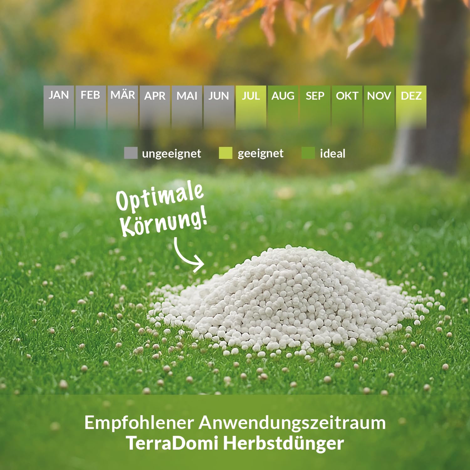 TerraDomi Rasendünger Herbst 25kg für 625m² | ohne Chlorid | Kalium Dünger für starke Wurzeln macht den Rasen winterfest | fördert Langzeitwirkung | streuwagengeeignet | Herbstdünger Rasen