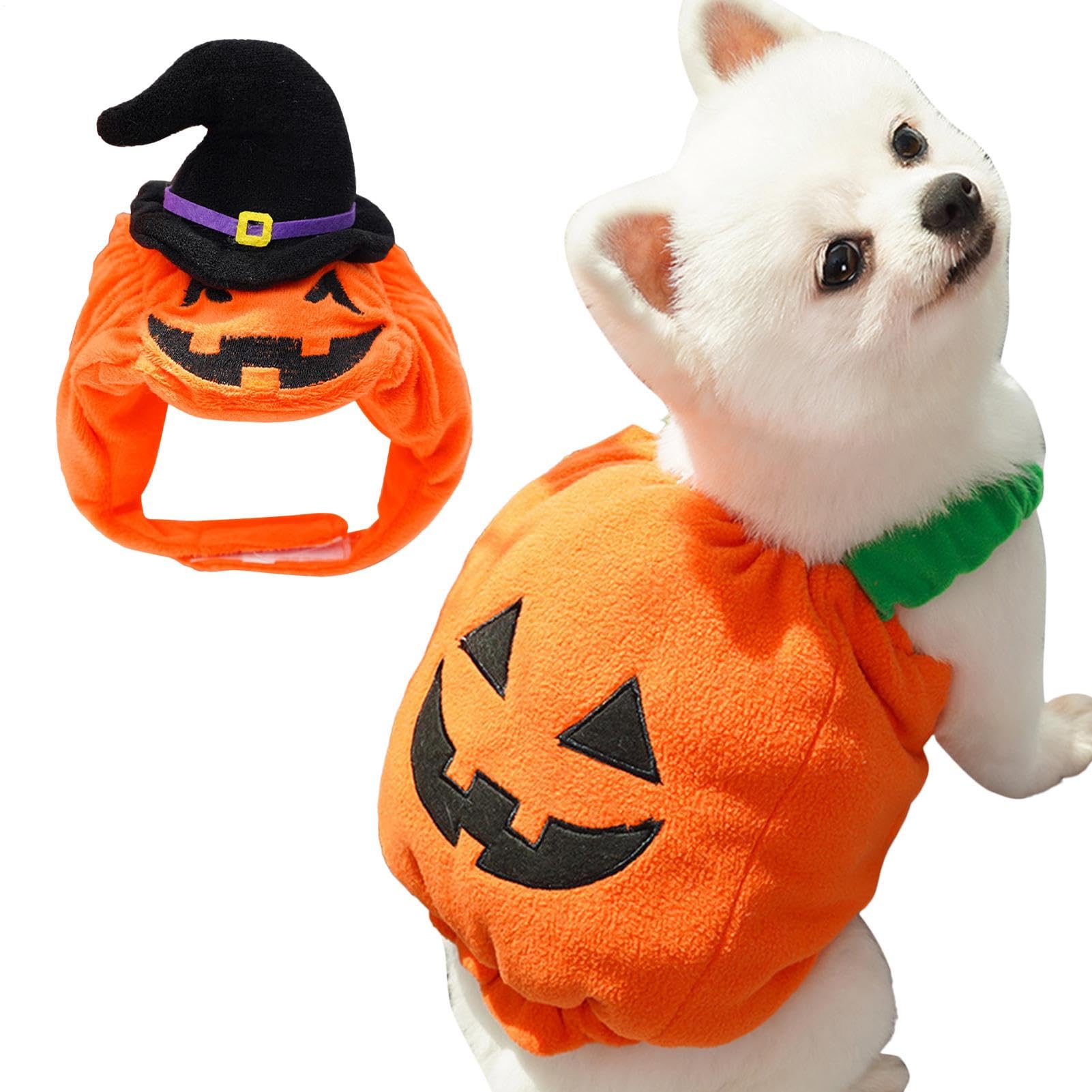 Travestimento per Cani a Forma di Cosplay Halloween Per Animali | Vestito Caldo Canino Adatto Per Feste A Tema, Sessioni Fotografiche, Passeggiate Quotidiane, Autunno E Inverno