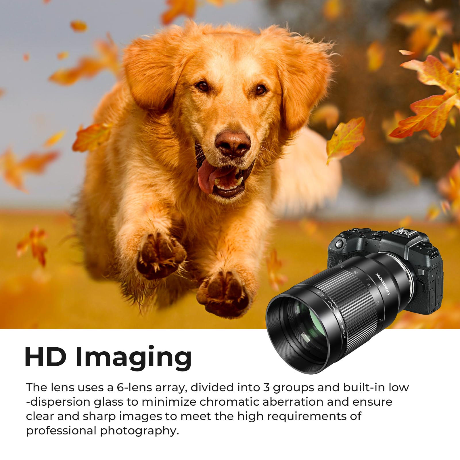 Amazon.com : RF 240mm F5.6 Reflex Lens - MF for Canon EOS R6 Mark