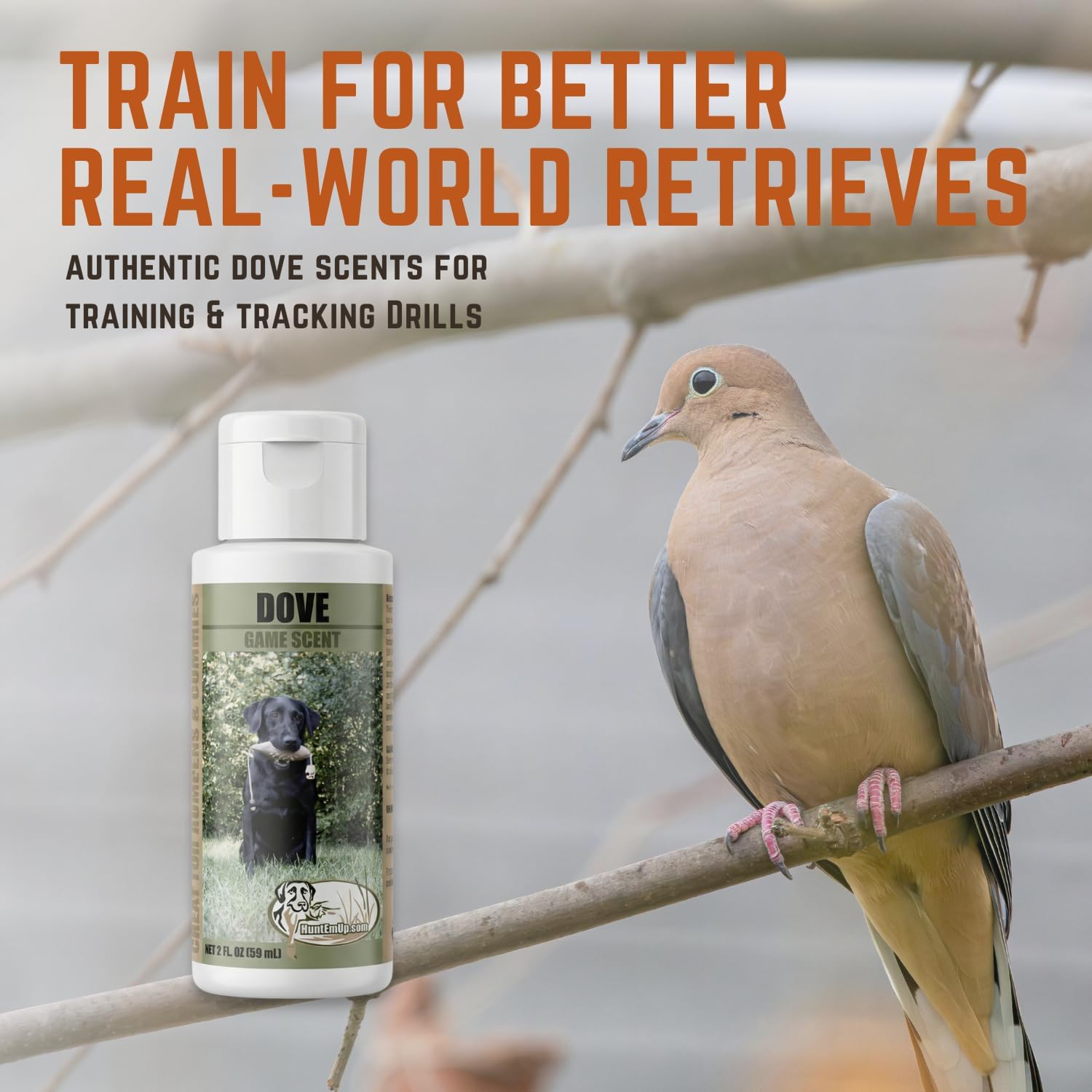 Ultimate Dove Dummy and Training Scent for Hunting Dogs - Realistic Mourning Dove Decoy and Upland Trainer Bundle for Retreiving
