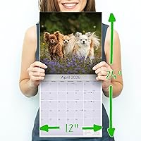 Vista 803 de Razas de Perros 2017