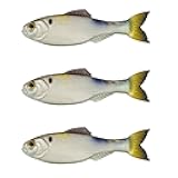 6th Sense – Panorama Soft Swimbait – Bass & Crappie Fishing Lure | Ultra-Realistic Forage Imitator with Natural Swimming Action for Finesse to Big-Bait Applications