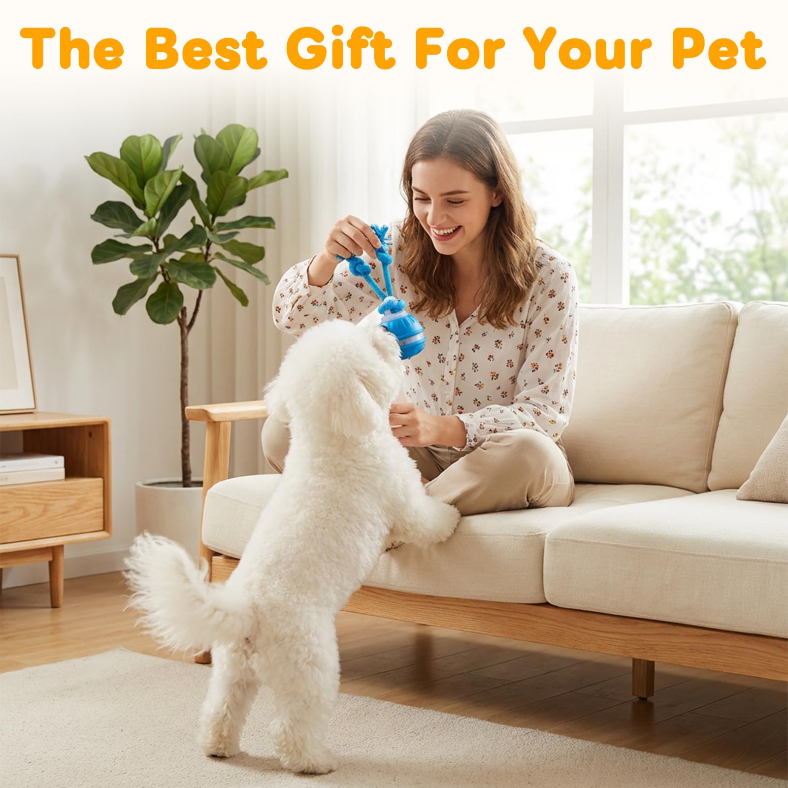 Lot de 2 jouets interactifs pour chien, balle roulante interactive à 360°, rechargeable par USB, mouvement intelligent pour animaux de compagnie ennuyés, chats et chiens, balles