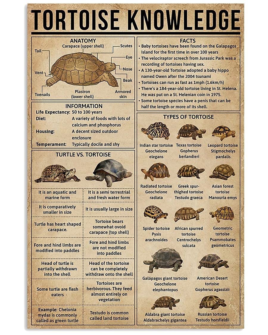 HOUVSSEN Tortoise Knowledge Poster Metal Tin Signs 8x12 Inch Tin Sign/Poster Metal