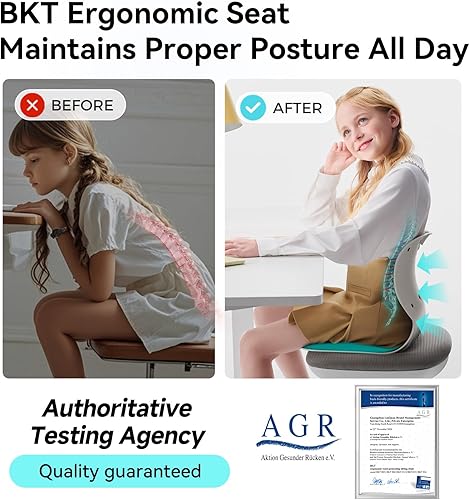 Miniatura 3 de BKT Cojines de asiento de apoyo lumbar, edición grande, silla de oficina engorómica para estudiantes, trabajadores de oficina, madres lactantes