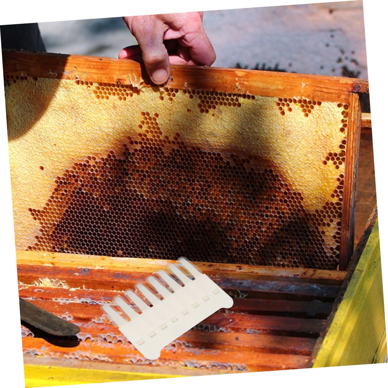 BESPORTBLE 6pezzi Royal Jelly Extract Pen Strumento Di Raschiatura Per Apicoltura Ottimizza Raccolta e Pulizia Dei Favi Utile Per Apicoltori Esperti e Principianti