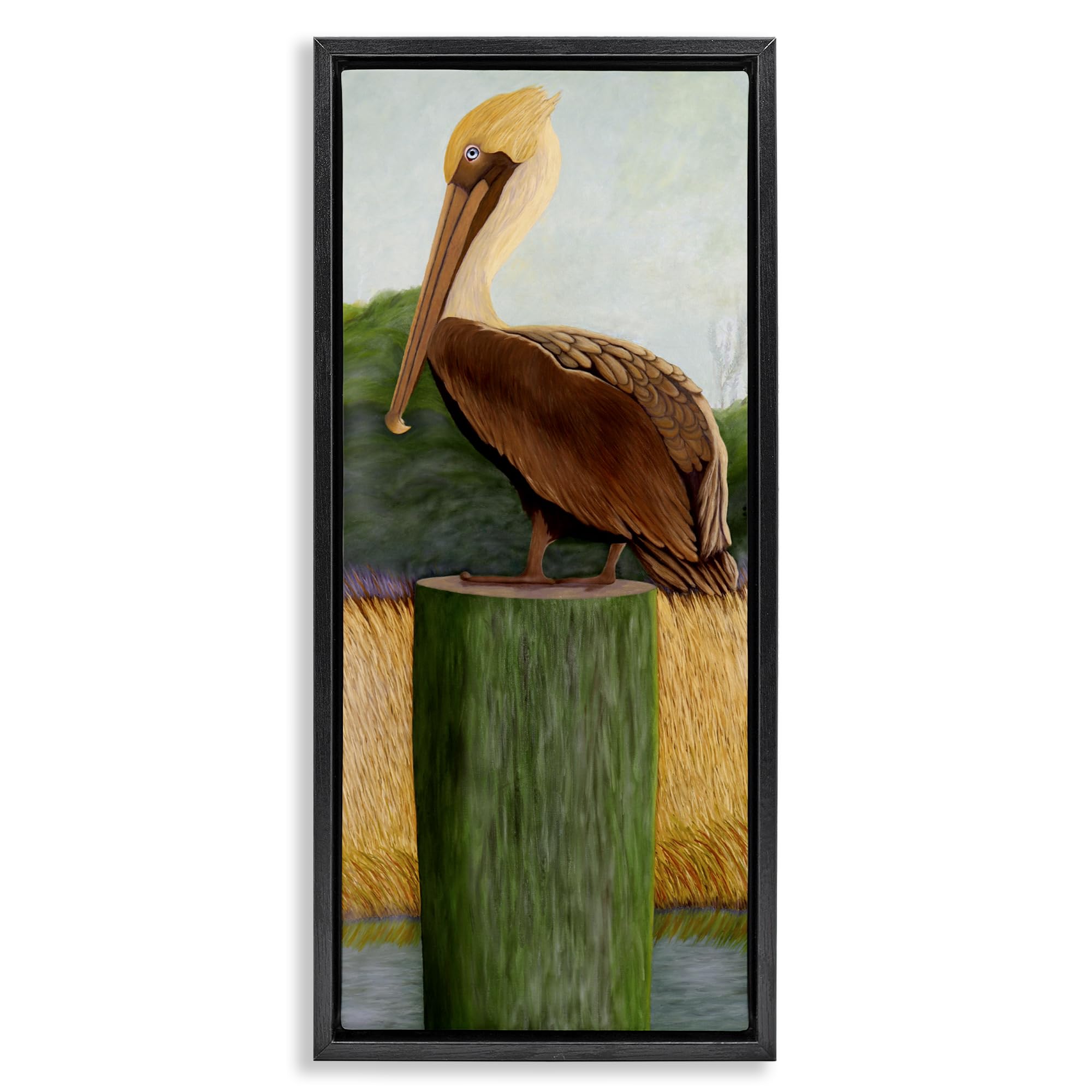 Stupell Industries 'Blue Eyed Pelican', Floating Frame Canvas Art, Black, 15 x 31 Inches, Easy to Hang and Sturdy, Made in USA, by Barbara Fallenbaum
