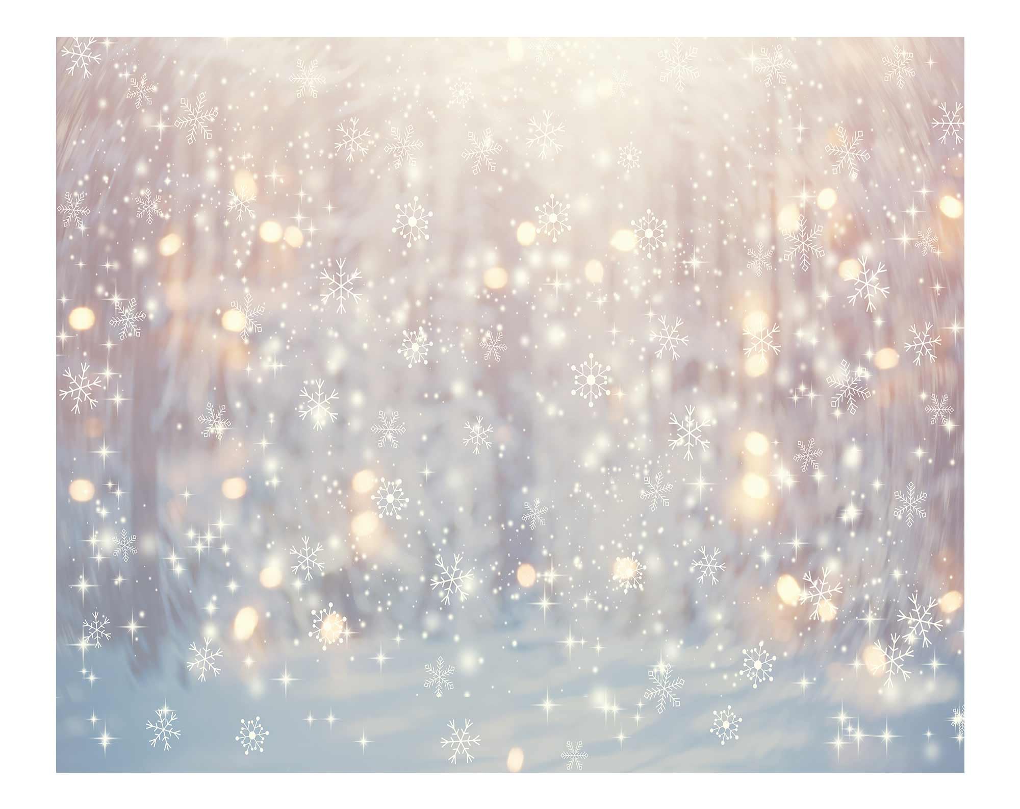 Allenjoy 6 x 6 FT Winter Wonderland Photography Backdrop Christmas Glitter Bokeh Snowflakes Background for Kids Children Newborn Baby Shower Birthday Party Decor Banner Portrait Photo Booth Props: 118 x 95 in