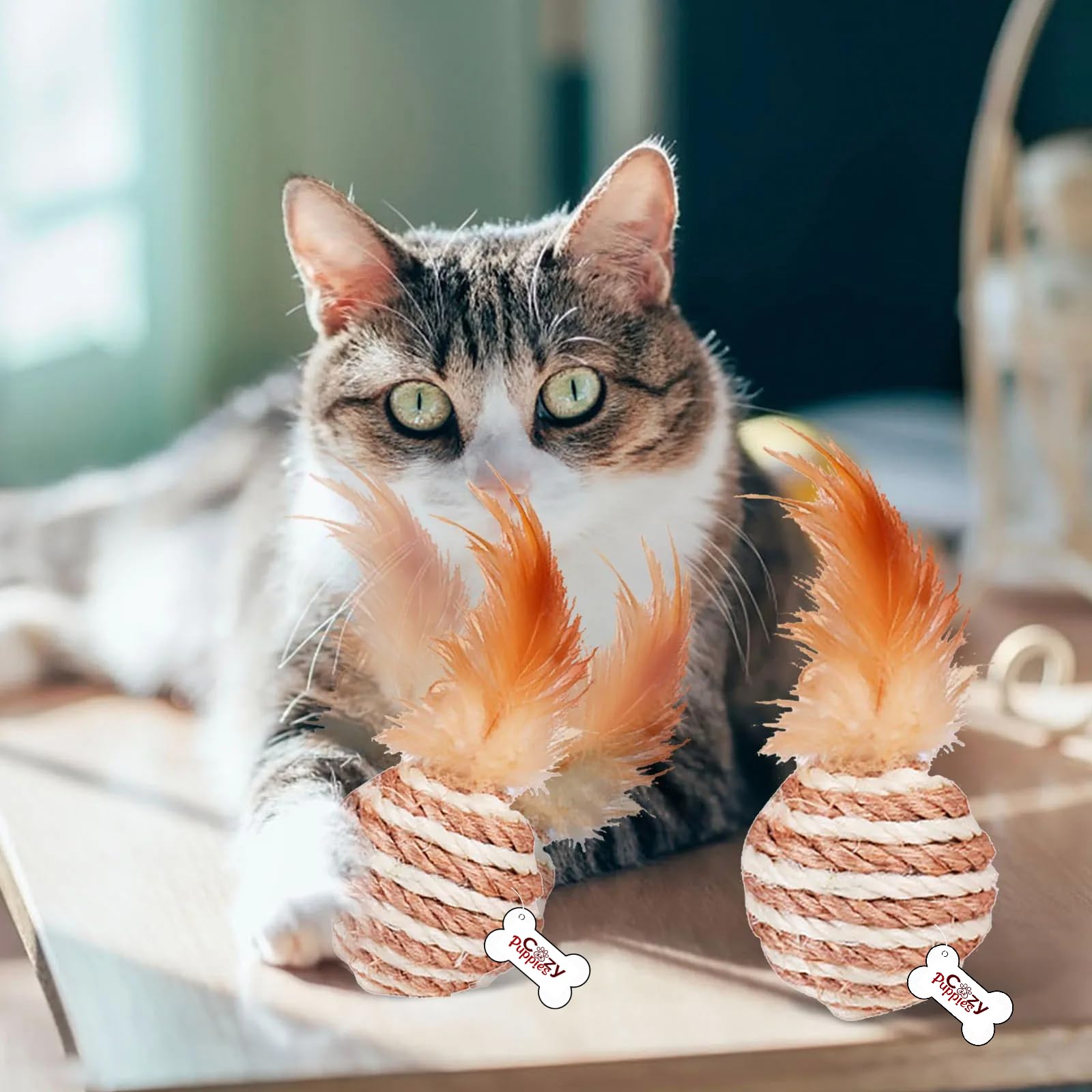 See full amazon price history chart for Cozy Puppies 2pcs Cat Toy Sisal Ball with Feathers, Cat Bite Resistant Teeth Sound Toy, Cat Scratching Ball Pet Supplies for Cats (Color May Vary) Cozy Puppies 2pcs Cat Toy Sisal Ball with Feathers, Cat Bite Resistant Teeth Sound Toy, Cat Scratching Ball Pet Supplies for Cats (Color May Vary) (B0CVS5RBL2) Amazon Price History, Amazon Price Tracker