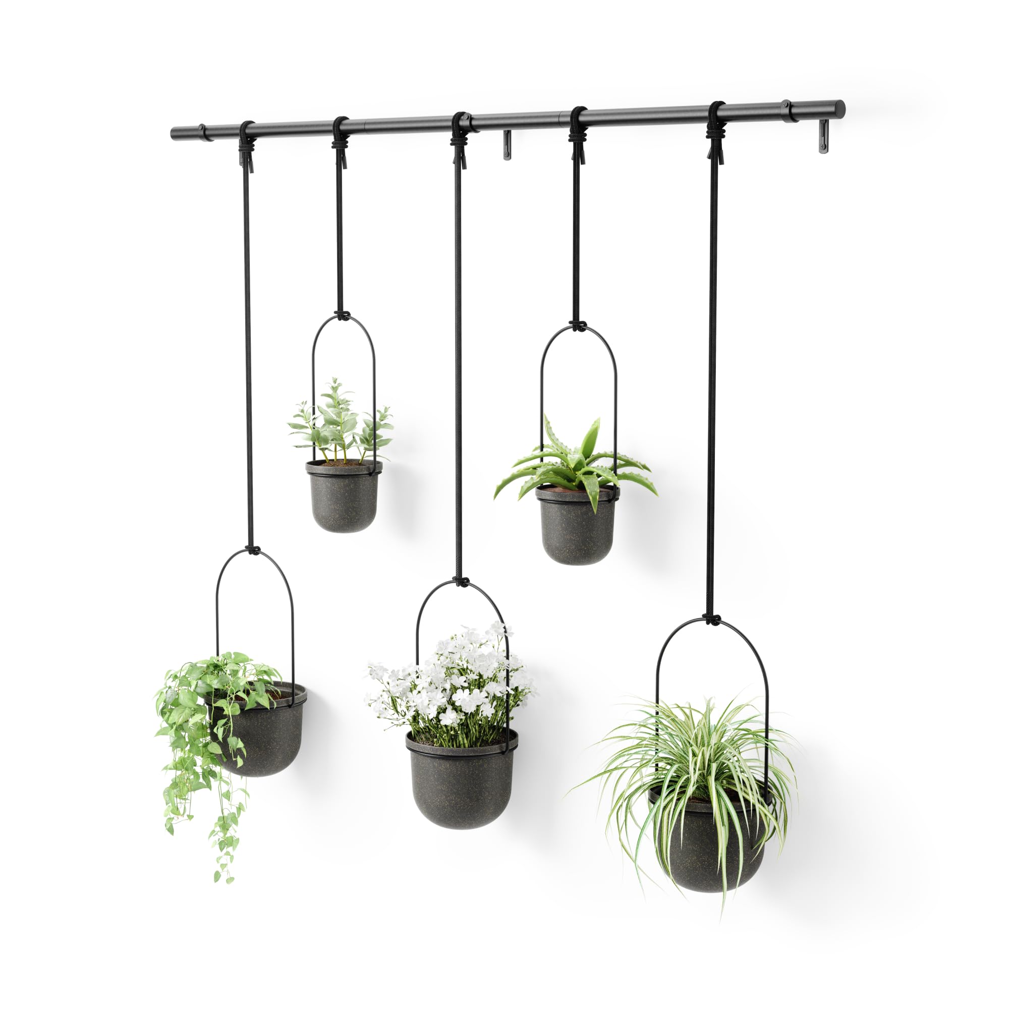 Umbra Triflora Hängeblumentopf | 5er-Set in Schwarz, Wand- und Deckenmontage, verstellbare Pflanzgefäße aus recyceltem Polypropylen