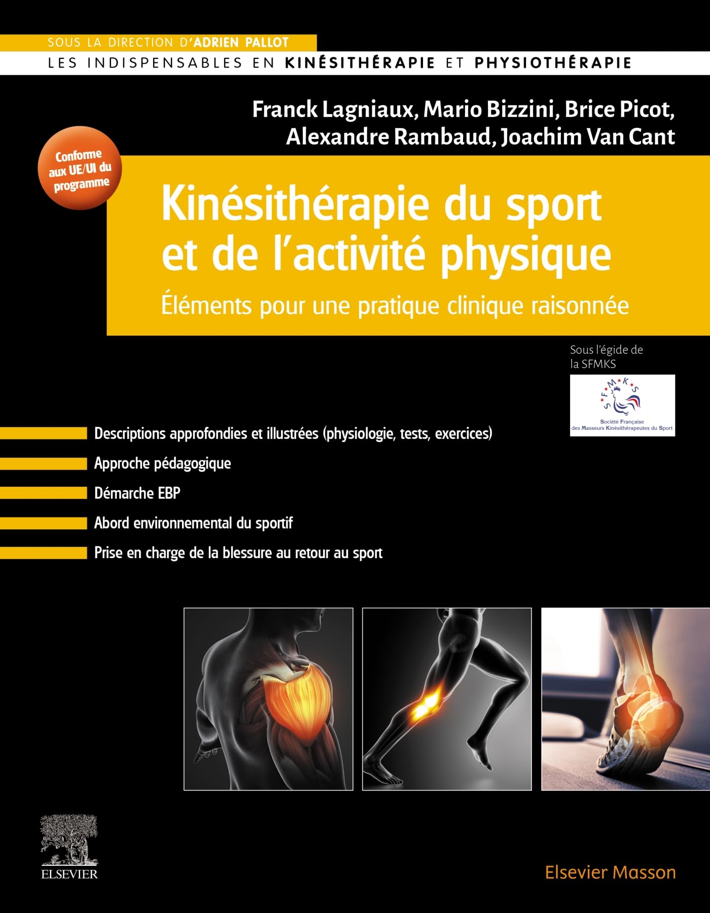 Kinésithérapie du sport et de l'activité physique: Eléments pour une pratique clinique raisonnée