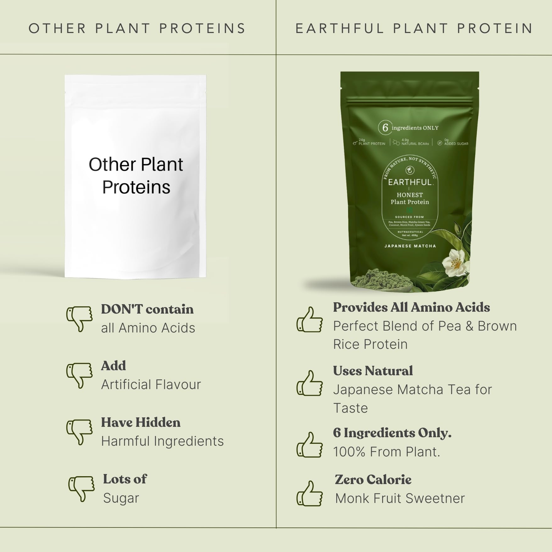 Earthful Honest Plant Protein | 24g Protein/Serving & 4.9g BCCAs | For Weight Management, Energy, Muscle Support & Recovery | Made with Pea & Brown Rice | Japanese Matcha - 468g 4