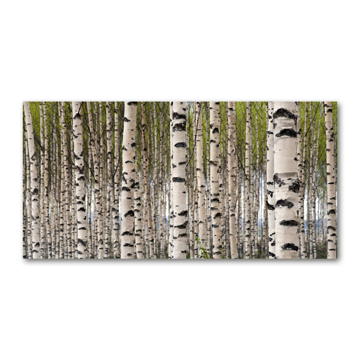 Tulup Obraz na płótnie - 120x60cm - Wydruk na Ścianę do Salonu Kuchni Kanwa Canvas Zdjęcie - Brzozowy las