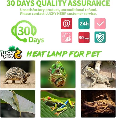 Miniatura 7 de LUCKY HERP Paquete de 2 bombillas de calor para reptiles de 75 W (2 generación), bombilla de luz solar para reptiles y anfibios, lámparas de calor