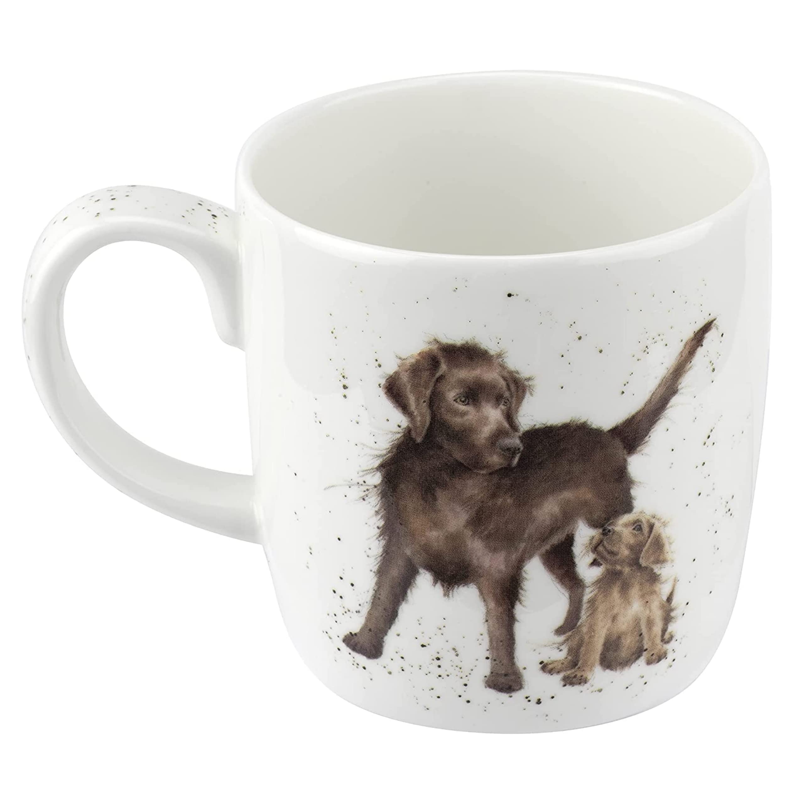 Amazon.com | Royal Worcester Wrendale Designs Hopeful Dog Mug | 14