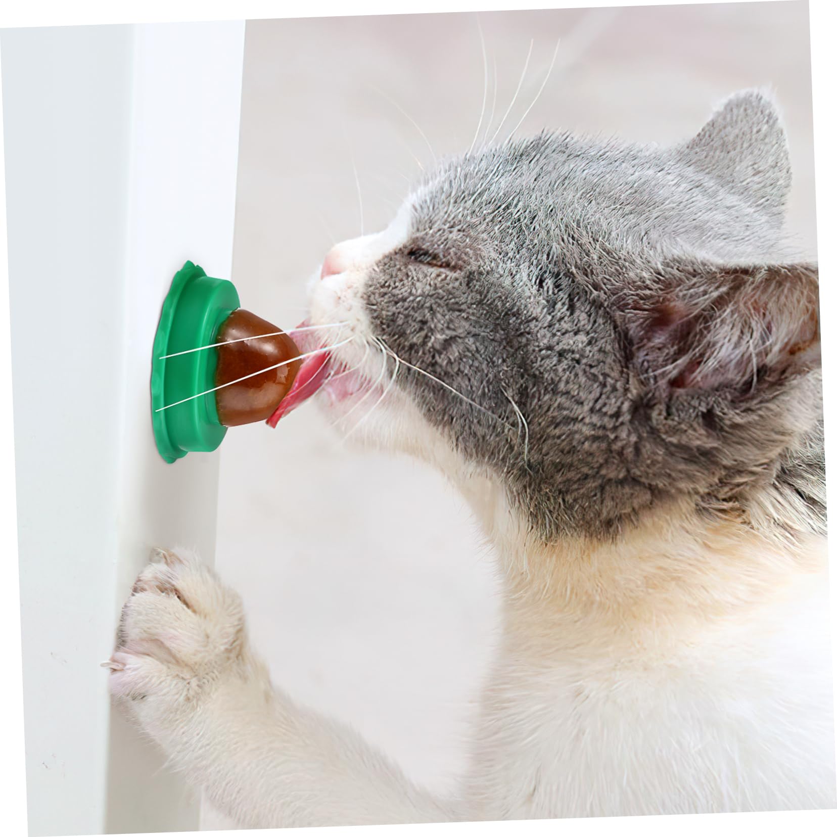 POPETPOP Sucettes à l'herbe à Chat 10 Pièces pour Chat Vert, Friandises Vitaminées Naturelles pour Augmenter L'hydratation et Améliorer Problèmes Urinaires