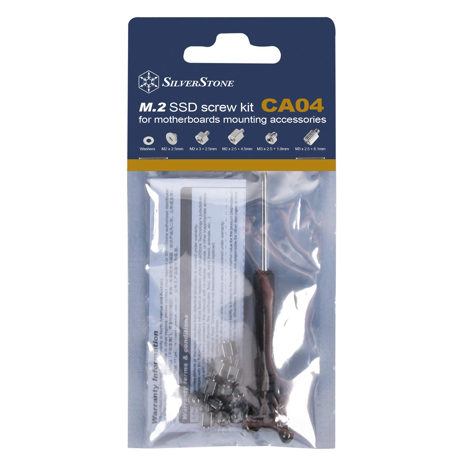 Silverstone Technology CA04 M.2 SSD Set di viti per accessori scheda madre