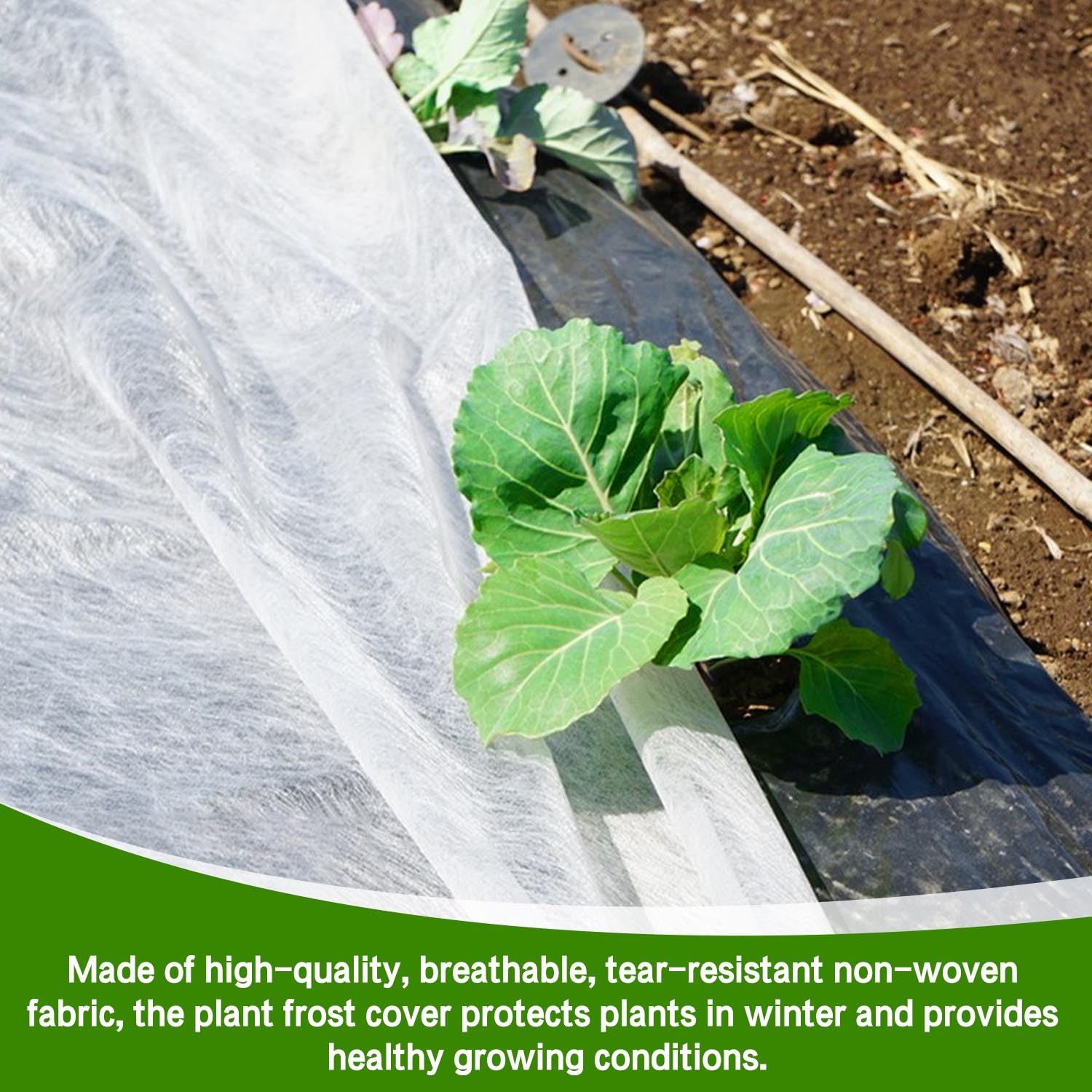 food for weed plants Cannabis Fertilizer | Marijuana Fertilizer