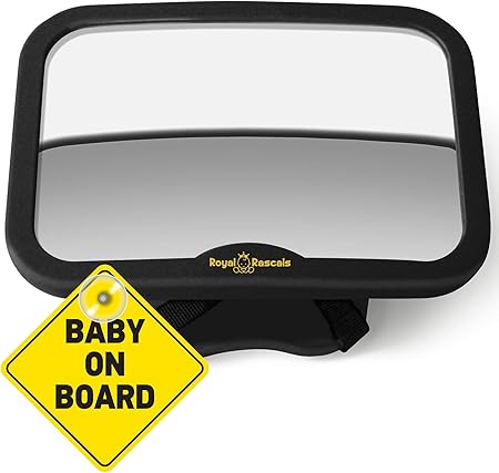 rearward facing mirror
