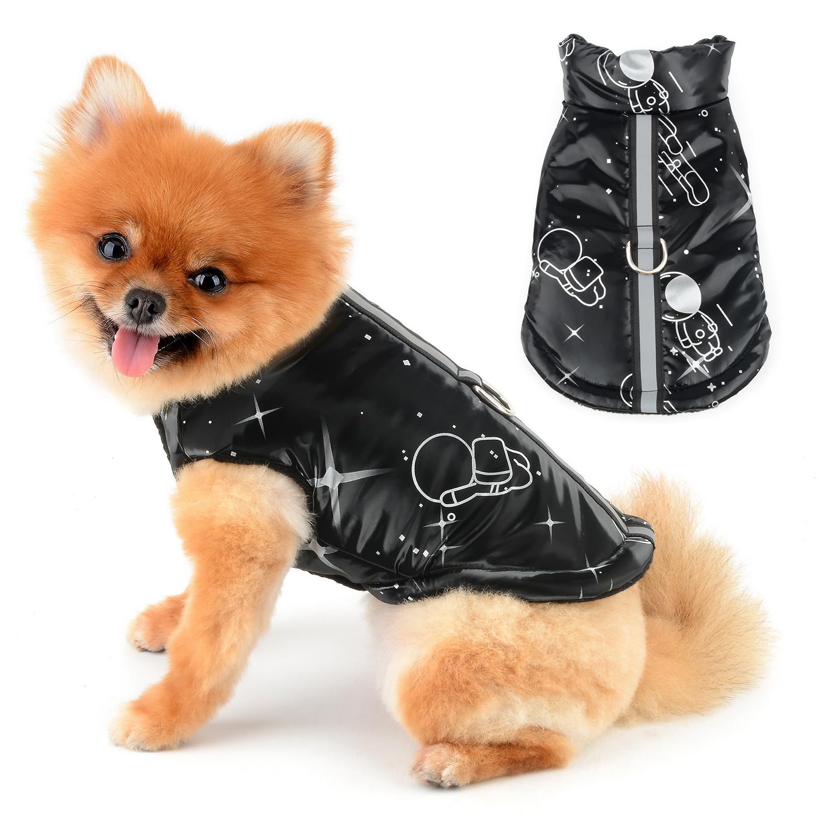 Waterproof Winter Dog Jacket - Warm Fleece Padded Coat For Small Breeds (XS/S/M)