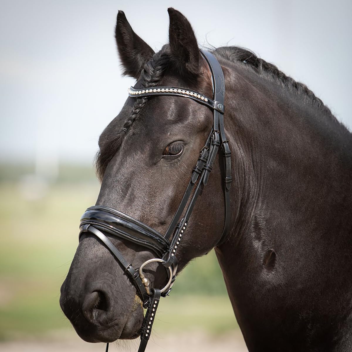 Harrys Horse Trense Zaum Diamond Laque schwarz mit silbernen Steinchen