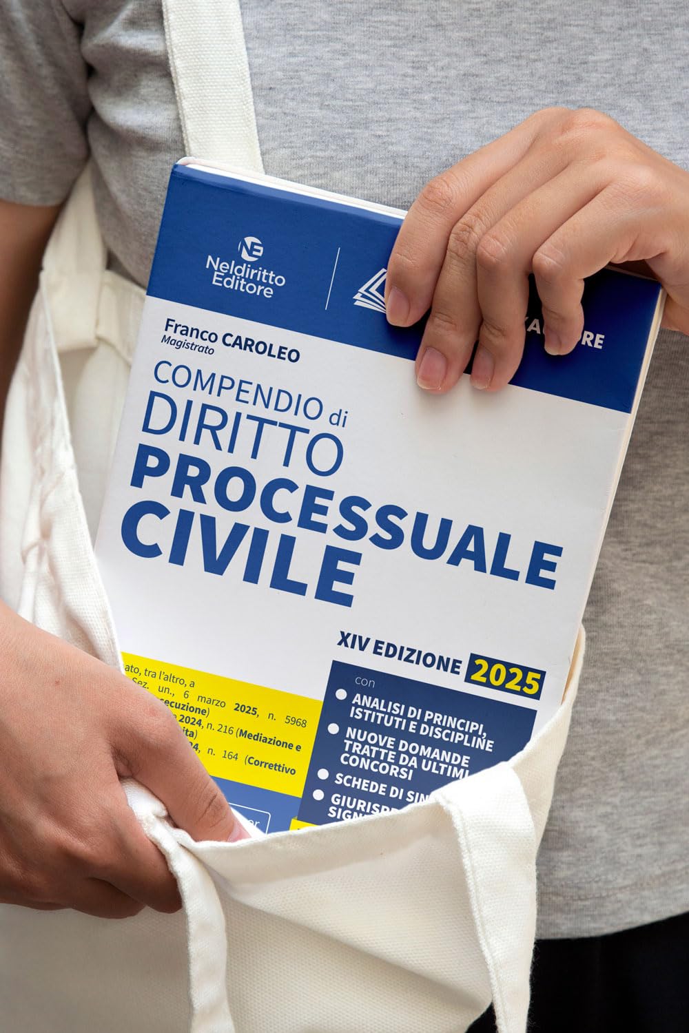 Compendio di procedura civile 2025, aggiornato al I e al II Correttivo Cartabia in tema di mediazione e negoziazione assistita