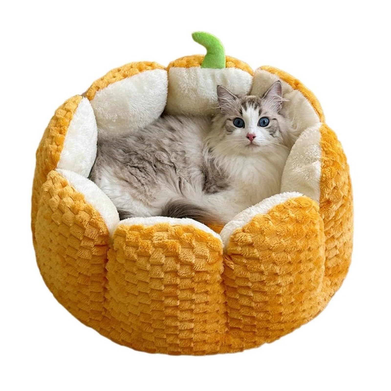 Pumpkin Cat Bed, Plush Velvet Warm Pet Cave for Indoor Outdoor Use, Washable Non-Slip Dog Mattress for Small Medium Cats & Dogs, Autumn Winter Comfort Bed (S)