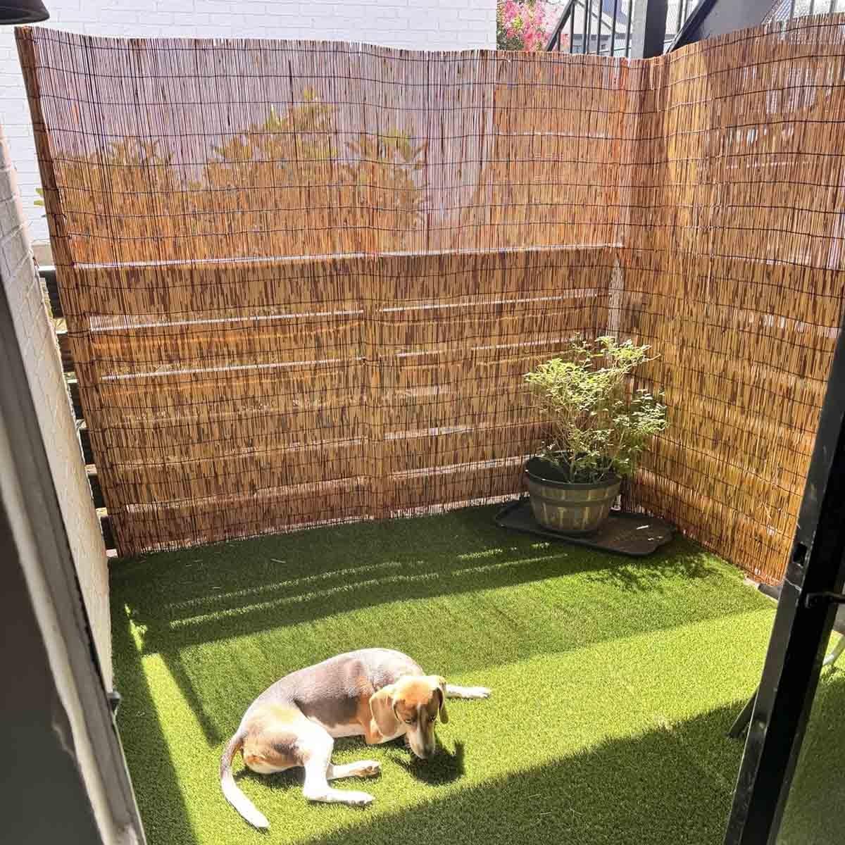 Brise Vue Jardin Naturel En Roseau Canisse Bambou Pour Clôture Extérieur Et Balcon Occultant Haute Densité Protection Intimité Terrasse Facile À Installer(Brun,H70xL750cm)