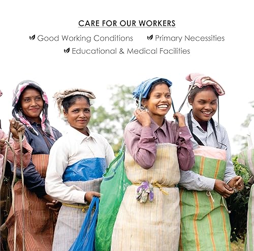 Miniatura 9 de Octavius, Juego de regalo surtido de muestras de té (6 sabores, 60 bolsas de té)  Paquete de muestra de té negro y verde  Juego de regalo de té de