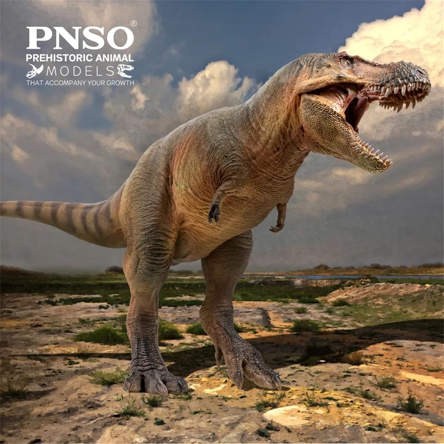 58 Luxiong Zhuchengtyrannus Figure Tyrannosaurus Scientific Art Model PVC Decoration